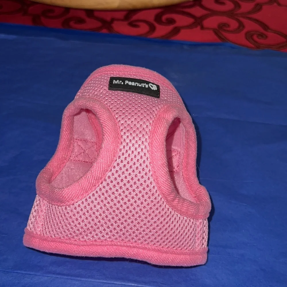 Mr Peanuts cat harness